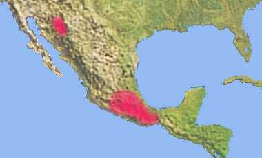 Aporocactus range