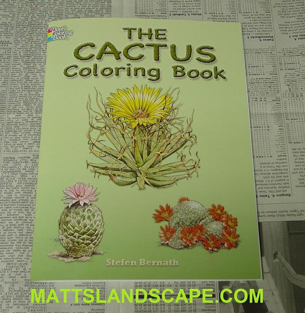 Cactus Coloring Book For Kids