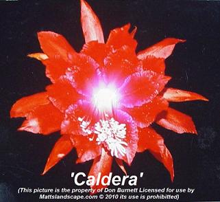 Caldera