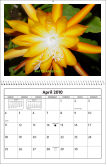 Epi Calender From Mattslandscape.com