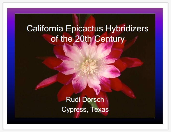 California Epicactus Hybridizers Of The 20th Century