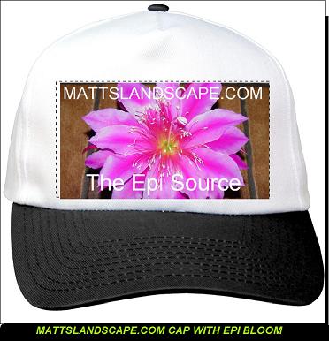 One Size Fits All Mattslandscape.com Cap