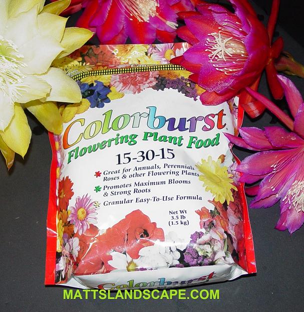 Color Burst 15 30 15 Gradual Release Bloom Fert.