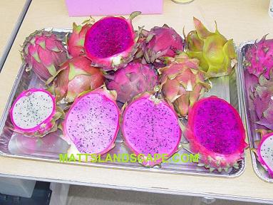 variety of dragon fruit sm pic
