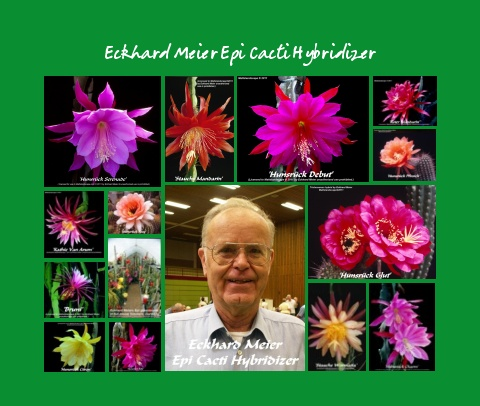 Eckhard Meier Epi Cacti Hybridizer