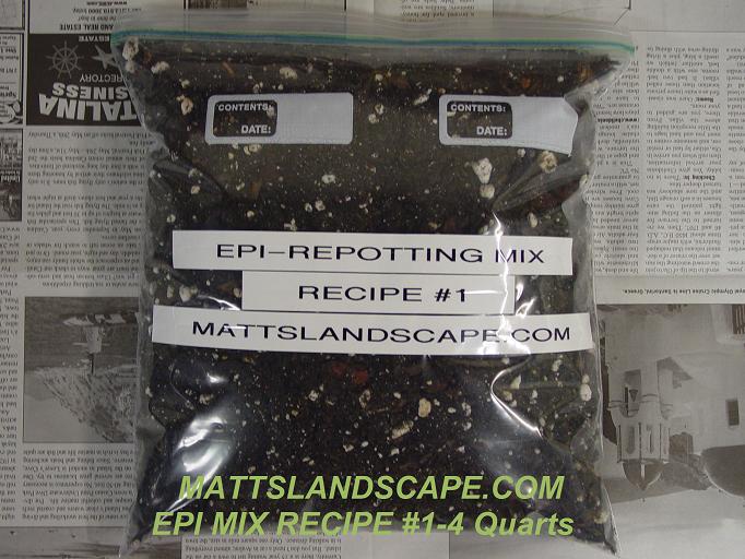 Repotting Mix