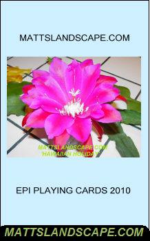 Playing Cards Custom