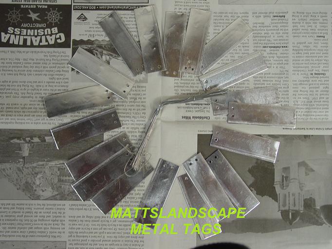 Metal Tags 25 Qty.