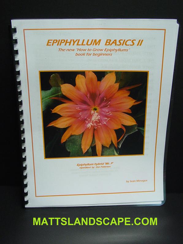 Epiphyllum Basics 2 By Sean Minoque