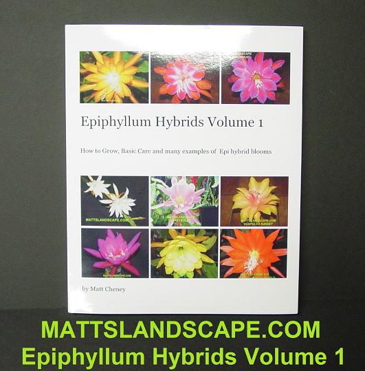 Epiphyllum Hybrids Volume 1