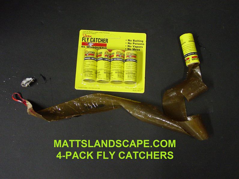 Fly Wax Paper Strips To Control Scale