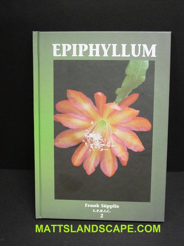 Epiphyllum 2 By Frank Supplie