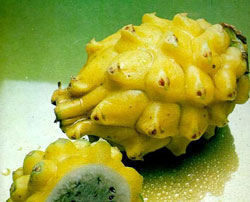 yummy dragon fruit