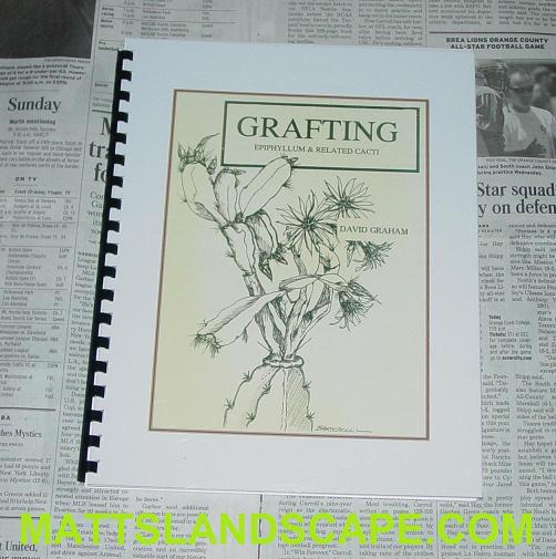 Grafting Epiphyllum And Related Cacti