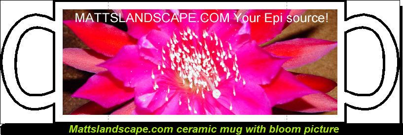 Mug Custom With Epi Flower