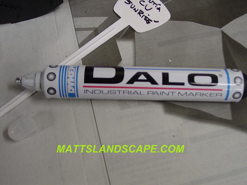 Paint Marker White By Dalo