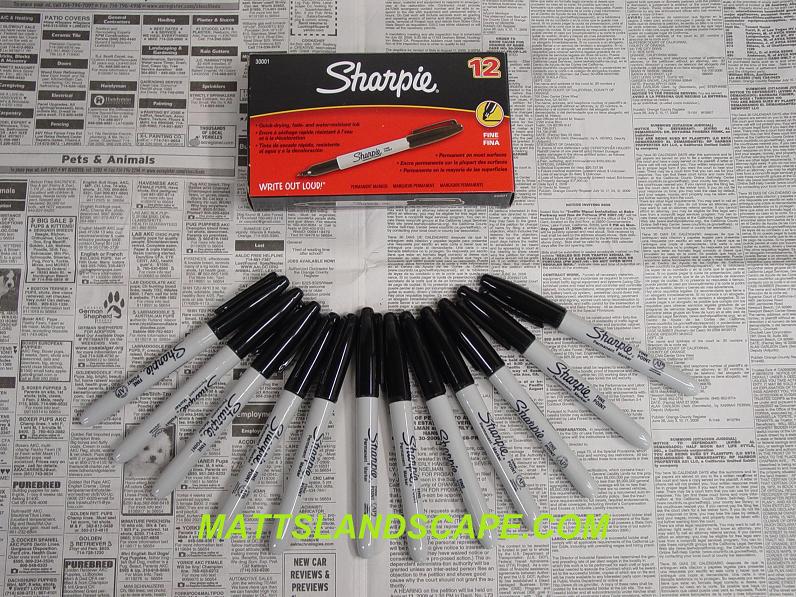 Permanate Markers 12 Qty