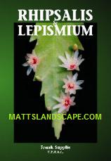 Rhipsalis And Lepismium Book By Frank Supplie