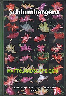 Schlumbergera By Frank Supplies And Dick Van Der Zee