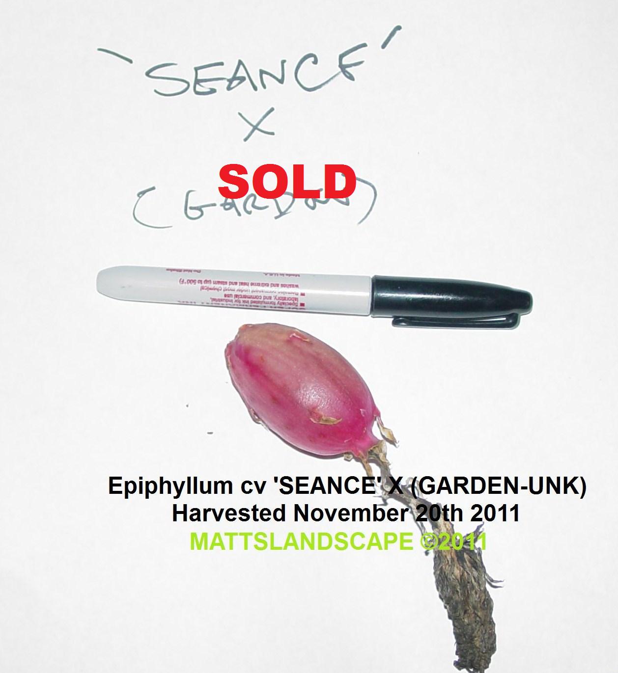 New 2011 Seance X Garden Seed Pod