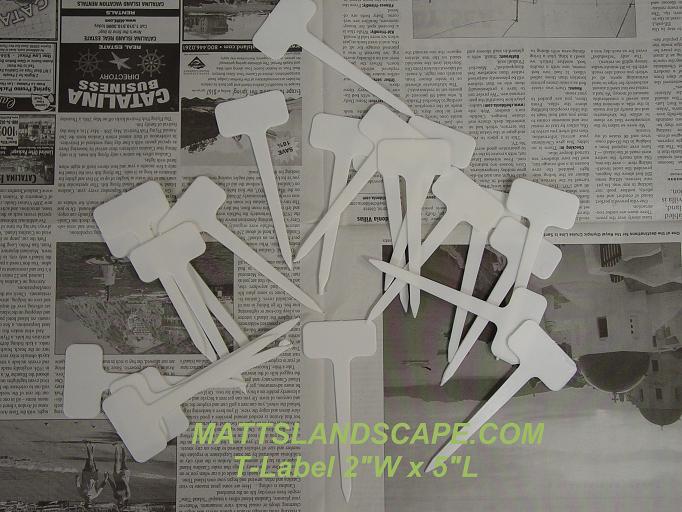 Plastic T Labels 25 Qty