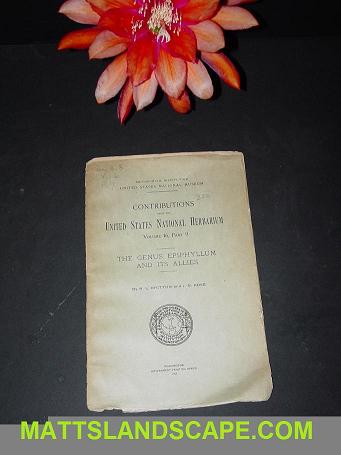 The Genus Epiphyllum And Its Allies