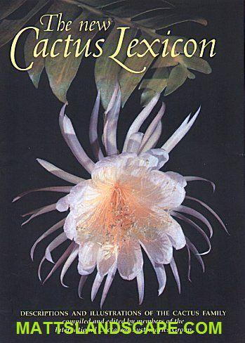 The New Cactus Lexicon